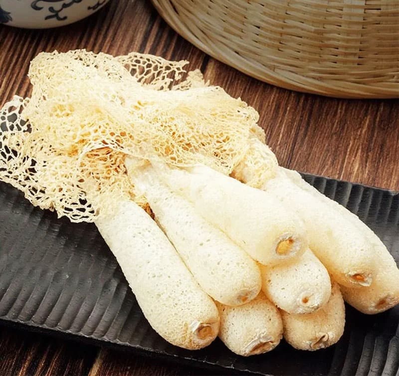 Nấm Tâm Trúc (Trúc Sanh) là gì?